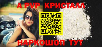 мет Кингисепп