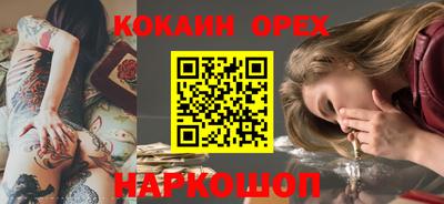 мет Кингисепп