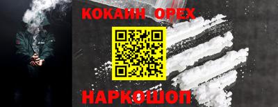 мет Кингисепп