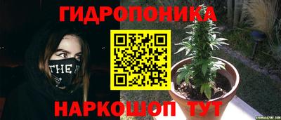а пвп мука Кинель