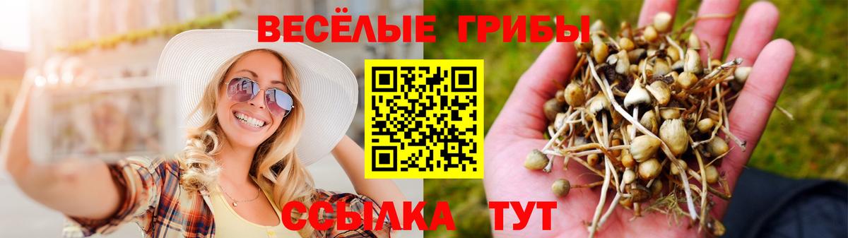 Псилоцибиновые грибы Magic Shrooms  Вход с VPN  магазин продажи   Шебекино 